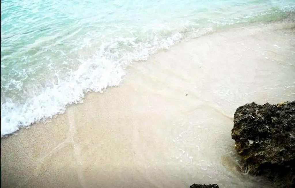 Jamrock Secret Retreat Hotel Montego Bay